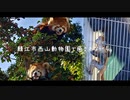 鯖江市西山動物園で癒されながら。