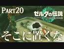 俺のマックストリュフがなんだって？【ゼルダの伝説 ティアーズオブザキングダム】Part20