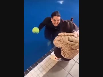 ホモと見る子供が水を怖がらないようにする訓練