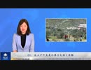 EU、反ユダヤ主義の暴力を強く非難