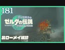 #181【ゼルダの伝説ティアーズオブザキングダム】ちょっと世界を翔けてくる【実況プレイ】