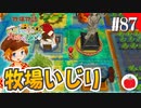 【実況】牧場物語３つの里の大切な友達を初見で遊ぶいも【#87】