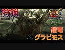 【実況】ぼっちハンターが行く！モンスターハンターXX第65回