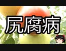 【ゆっくり朗読】ゆっくりさんと不思議な病気 その611