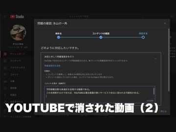 YOUTUBEで削除された動画（２）　「氷山の一角」