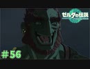 そんなに表情豊かなんですね　「ゼルダの伝説～ティアーズ・オブ・ザ・キングダム」　＃56