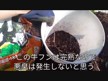 第4期カツドンチャンネル　狩猟者遠鱒さんからシカ肉を戴いたのでステーキで戴きます✊□❗＋堆肥は親の愛情□