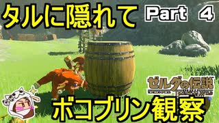 ボコブリンを観察しよう【ゼルダの伝説 ブレス オブ ザ ワイルド】PART 4