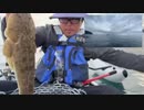 【３時ニコ生録画】2023/11/09 08:00 ドライブ＆カヤック釣り配信