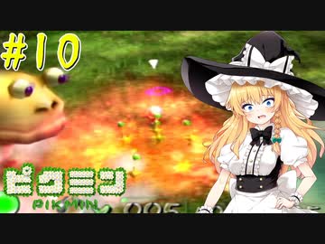 【ピクミン】マリアリと不思議な生き物 #10【ゆっくり実況】