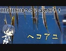 つづみの10秒おさかな解説#11　ヘコアユ