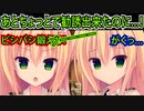 【ラズベリーキューブ(エロゲ)】71　携帯が鳴りやがったせいで外堀埋め埋め作戦失敗【まどそふと】