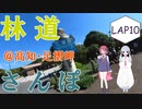 【COEIROINK車載】林道さんぽ＠足摺岬【セロー】
