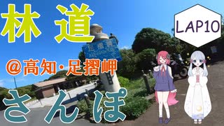 【COEIROINK車載】林道さんぽ＠足摺岬【セロー】