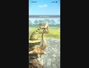 モンスターハンターNOW クルルヤック　★4