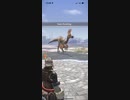 モンスターハンターNOW クルルヤック　★4