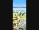 モンスターハンターNOW トビカガチ　★3