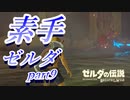 【素手ゼルダ】～素手の力だけでハイラルの大地を救う男～実況プレイpart9【ゼルダの伝説ブレスオブザワイルド】