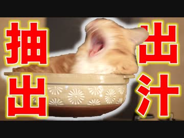 【合法】食べちゃいたいくらい可愛い猫を本当に味わってみた