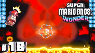 怒れるクリボー空間でマグマ水泳をエンジョイするキノコちゃん【スーパーマリオブラザーズワンダー】#18