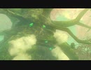 【ティアキン】 ヤニデク【ドリカラ】【ボイスピ実況,ゼルダの伝説ティアーズオブザキングダム,TotK,ゼル伝】