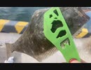 ヒラメ26cm