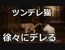 ツンデレ猫、徐々にデレる【Lies of P】