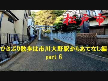 千葉県松戸市紙敷-大橋を歩く【ひさぶり散歩は市川大野駅からあてなし編part 6】【散歩255】
