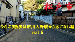 千葉県松戸市紙敷-大橋を歩く【ひさぶり散歩は市川大野駅からあてなし編part 6】【散歩255】