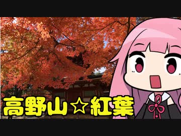 【高野山】「茜ちゃんが登ったと思うまで番外編」