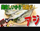 【ゆっくり解説】アジの栄養について解説！