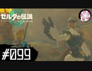 【ティアキン＃99】凡人が行く龍泪旅
