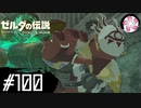 【ティアキン＃100】凡人が行く龍泪旅