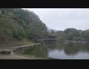 奈良散歩 part3（春日大社周辺探索）