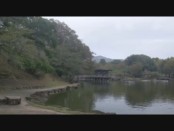 奈良散歩 part3（春日大社周辺探索）