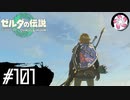 【ティアキン＃101】凡人が行く龍泪旅