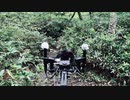 20230907 09:57am 小鳥の森