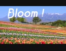 Bloom! feat. 京町セイカ【オリジナル曲】