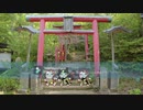 二ッ岩マミゾウ（たぬき）　再々投稿
