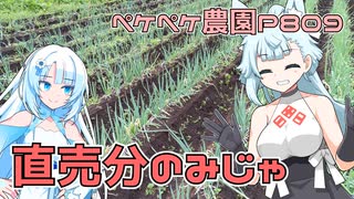 2023年11月10日　農作業日誌P809　雨が降っているけど直売所向けの野菜を頼まれてました