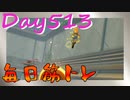 【毎日投稿】ムキ・ムキ・ムキへの道！！！【RFA負荷23】#513