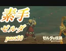 【素手ゼルダ】～素手の力だけでハイラルの大地を救う男～実況プレイpart10【ゼルダの伝説ブレスオブザワイルド】