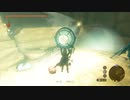 【Switch】リンクがゾナウとゼルダ探し旅【プレイ動画】part83