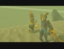 【Switch】リンクがゾナウとゼルダ探し旅【プレイ動画】part85