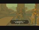 【Switch】リンクがゾナウとゼルダ探し旅【プレイ動画】part81