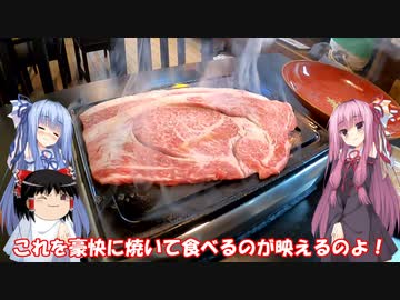 琴葉姉妹と行く釣行記録（海釣り編part34 4/6）