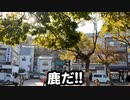 広島２日目〜世界遺産厳島神社へ！！