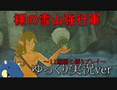ティアキン全裸ノーダメージ＃3『ゆっくり実況』