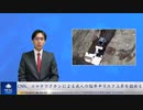 CNN、コロナワクチンによる成人の脳卒中リスク上昇を認める
