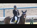 【競馬】2023年 第25回京都ジャンプステークス(J・GⅢ)【エコロデュエル / 草野太郎】